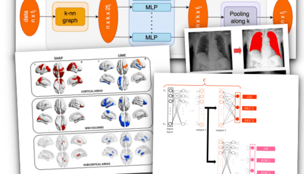 Coolege di foto con grafi diagrammi aree corticali del cervello e radiografie del polmone