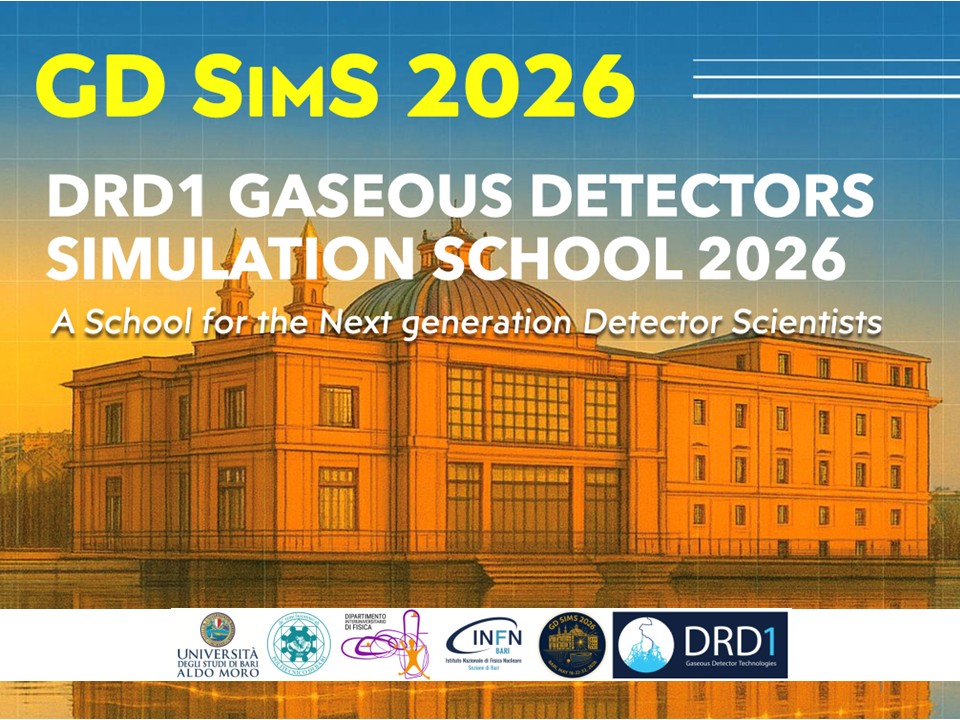 DRD1 Gaseous Detectors Simulation School