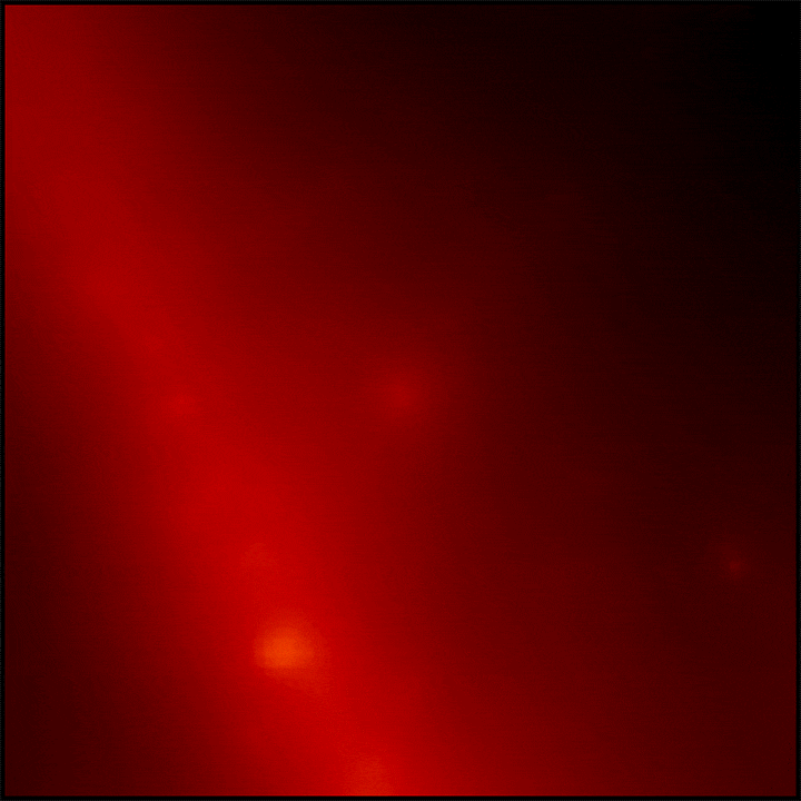 nei raggi gamma centrati sulla posizione di GRB 221009A