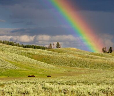 Arcobaleno - rainbow