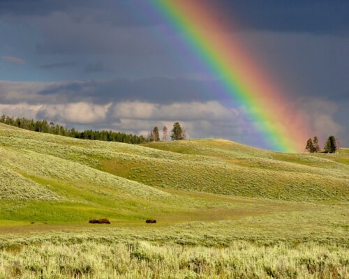 Arcobaleno - rainbow